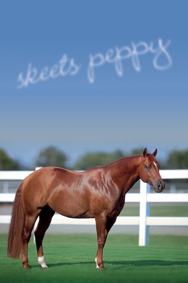 Skeets Peppy